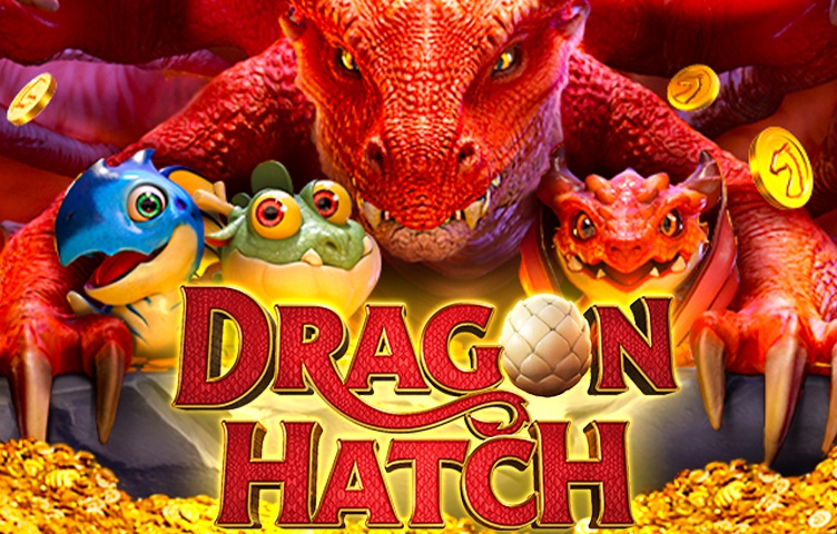 Dragon Hatch