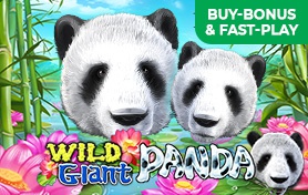 Wild Giant Panda