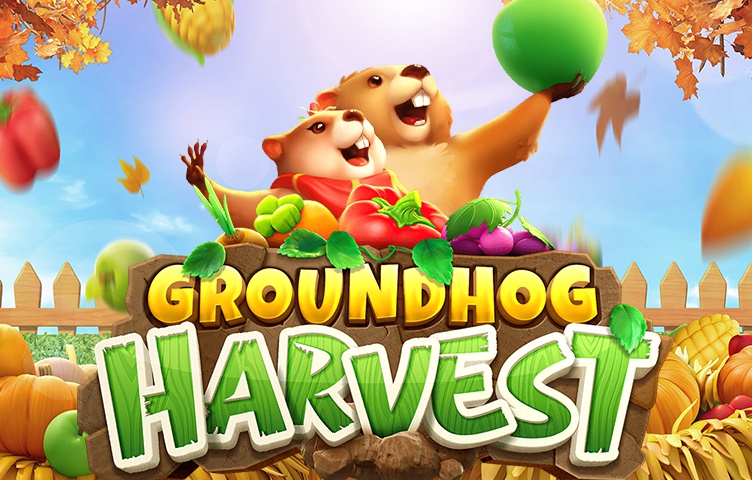 Groundhog Harvest