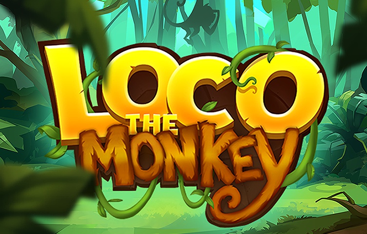 Loco the Monkey