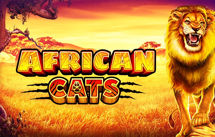 African Cats