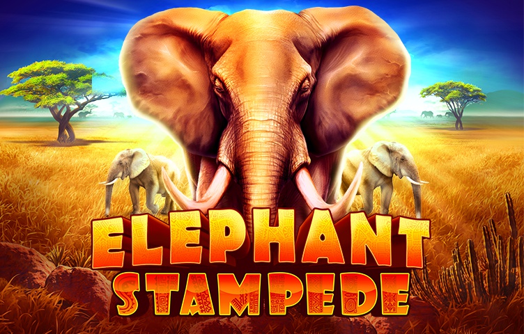 Elephant Stampede