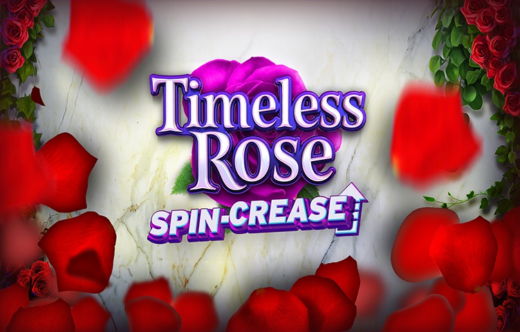 Timeless Rose