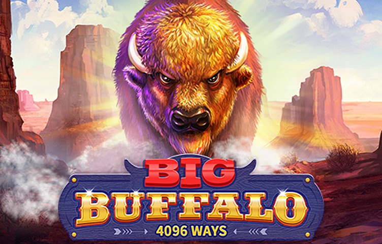 Big Buffalo