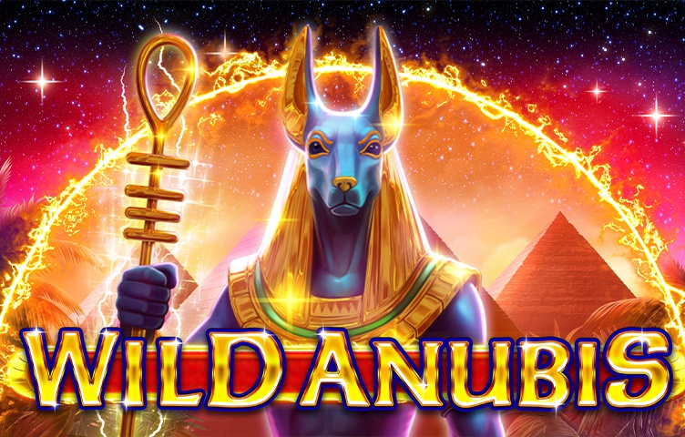 Wild Anubis