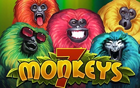 7 Monkeys