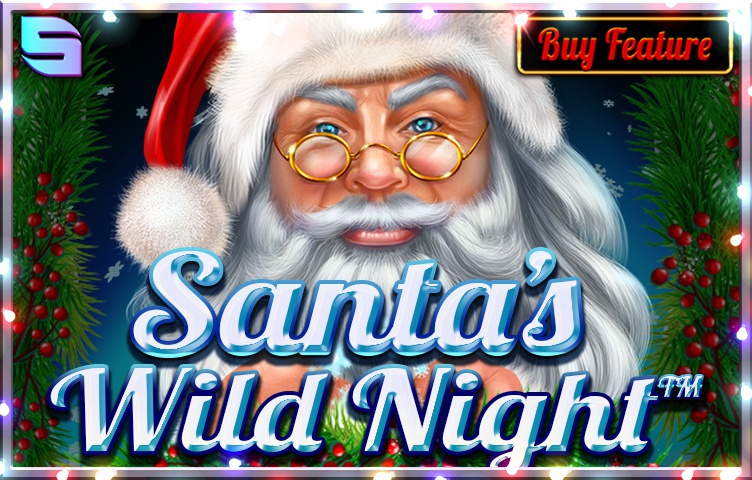 Santa’s Wild Night