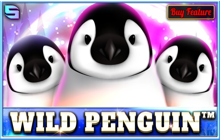 Wild Penguin